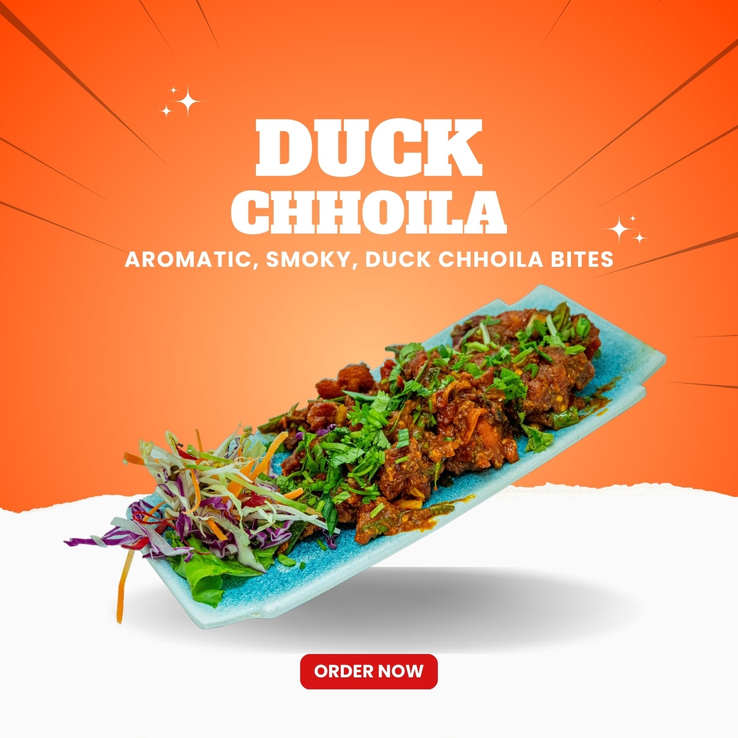 Order food online near me- duck chhoila - SMART MAHAL - Best Online Selling food in kathmandu - The best online food ordering platform in Kathmandu - powered by partySewa